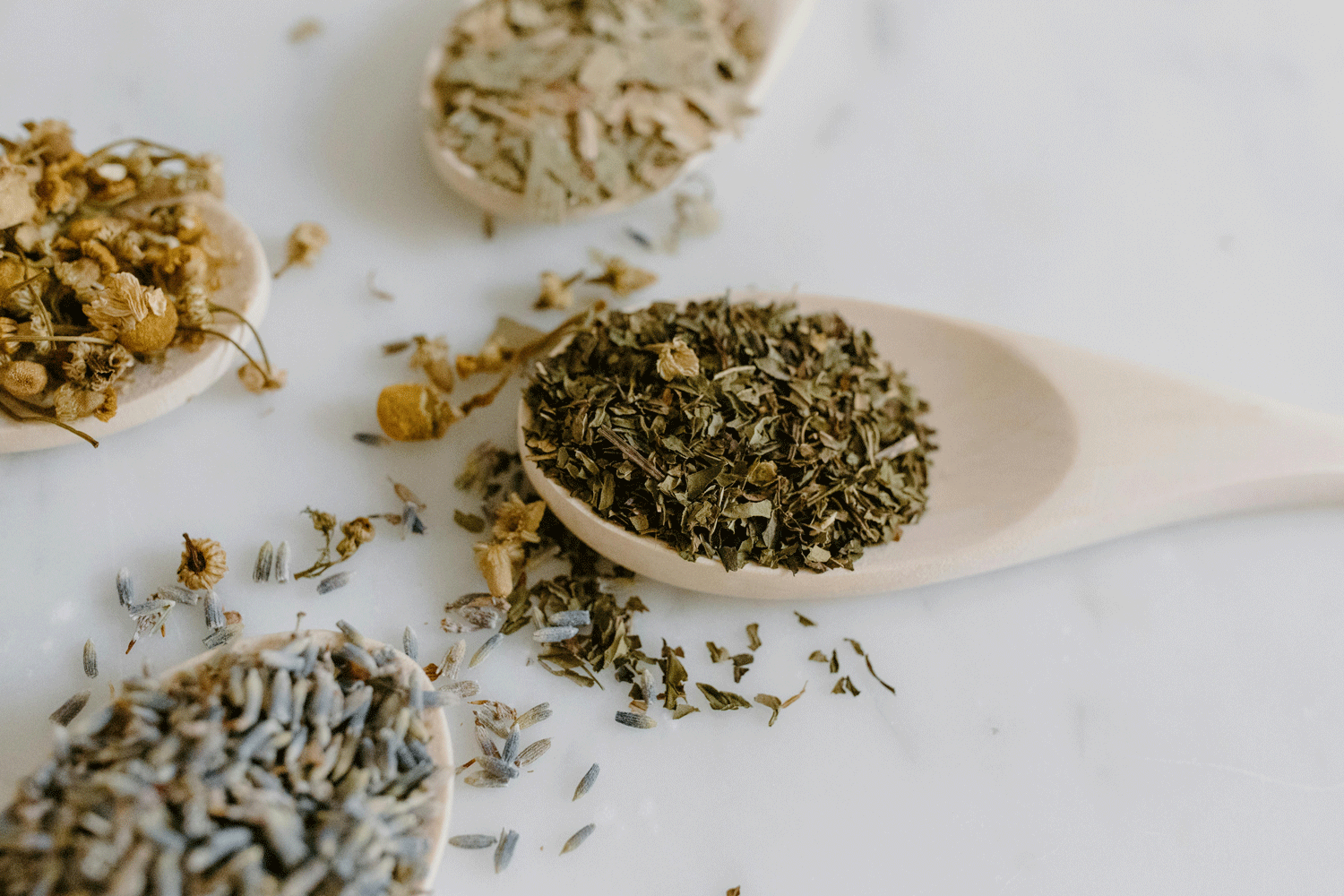 An abstract photo of various loose tea blends.